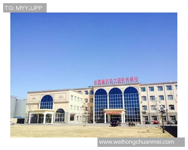 北京排球队在联合会杯中的辉煌历程与突破成就全景回顾